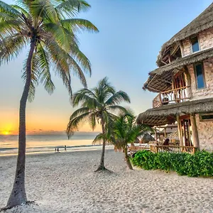 Alaya By Ahau Collection Hotel Tulum